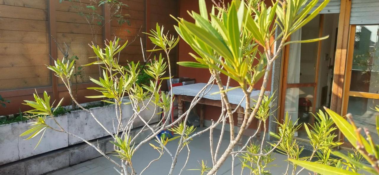 Meraviglioso Super Attico Con Terrazza Milano Dış mekan fotoğraf